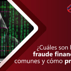 ¿Cuáles son los tipos de fraudes financieros más comunes y cómo prevenirlos?